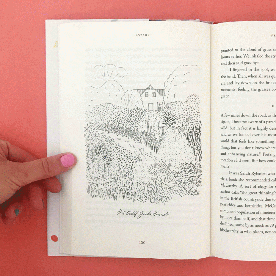 The Aesthetics of Joy by Ingrid Fetell Lee